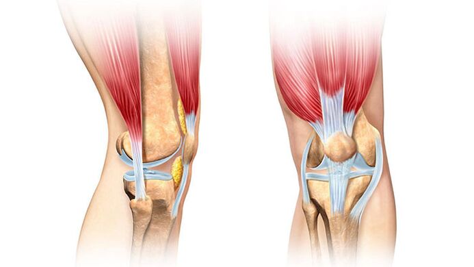 Kniegelenk und seine Behandlung von Schmerzen