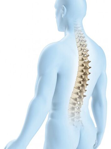 Die Läsion der Brustregion ist aufgrund ihrer physiologischen Stärke weniger wahrscheinlich